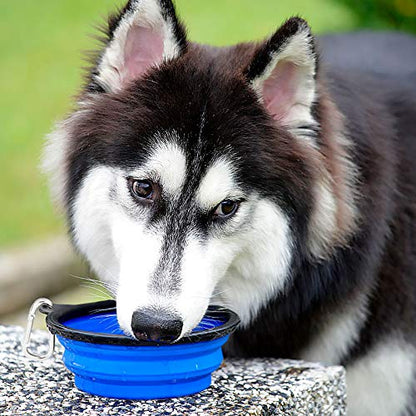 Kytely Large Collapsible Dog Bowls 2 Pack, 34oz Foldable Dog Travel Bowl, Portable Pet Water Food Bowl with Clasp, Pet Cat Feeding Cup Dish for Traveling, Walking, Hiking (Blue+Blue) - color: Blue & Blue