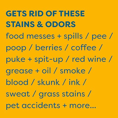 KIDS 'N' PETS Instant All-Purpose Stain & Odor Remover Permanently Eliminates Dog Pee, Cat Urine, Other Smells, Spots from Home Carpet, Couch, Furniture, Mattress, Fabric. Non-Toxic, Child Safe - 27oz - style: 27.05 fl oz