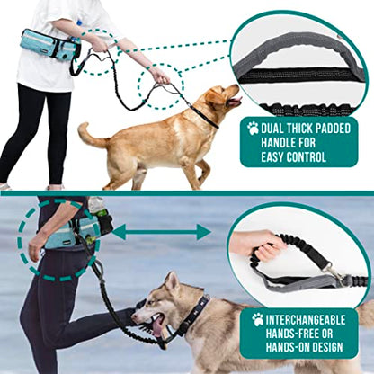 PetAmi Hands Free Dog Leash, Dog Running Leash Belt Bag for Walking, Jogging, Dog Waist Double Zipper Pouch with Poop Bag Dispenser, Dual Padded Handles Reflective Bungee Leash, Double (Turquoise) - color: Turquoise, size: 2 Leashes