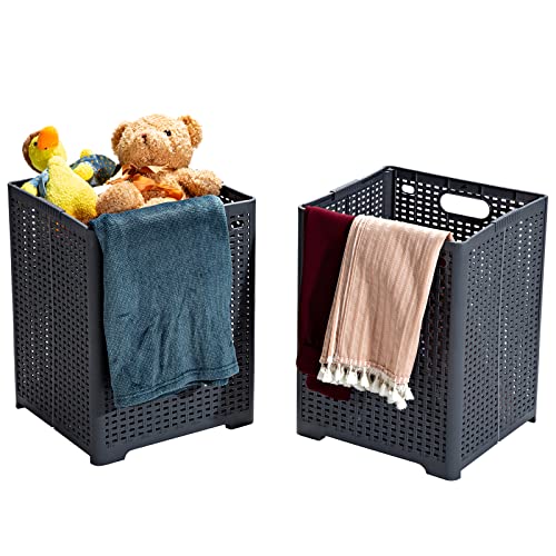 Eslite 42L Collapsible Plastic Laundry Baskets,Foldable Laundry Hamper,Pack of 2 (Grey) - color: Grey