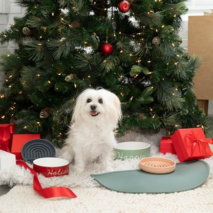 Should We Go? Waterproof Silicone Dog Food Mat – Large Size Non-Slip Pet Bowl Mat, Raised Edge Design, Easy-to-Clean Pet Food Placemat for Dog & Cat Bowls, 28" Across x 14" Deep - Ocean Blue - color: Ocean Blue, size: Large