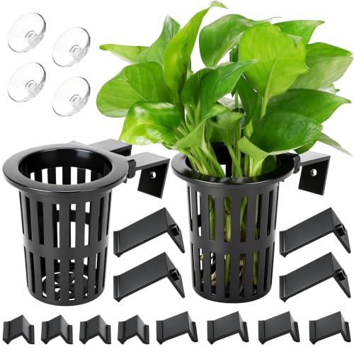 Borlech New Upgraded Large Aquarium Plant Holder with 1.57-inch Extension Hooks and Suction Cups for Fish Tank Aquaponic Plant Cultivation and Aquascape Accessories Decorations (2 Pack) - color: Black-2 Pack