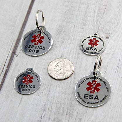 Engraved Service Dog Personalized with 4 Lines of Custom Engraved ID Stainless Steel Enameled - size: Regular