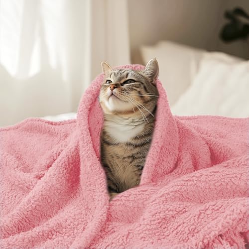 Luciphia Premium Fleece Pet Blanket for Small Medium Dogs Puppy Soft Sherpa Calming Cat Throw Blankets(Pink,57x40 inches) - color: Pink, size: 57x40 inches