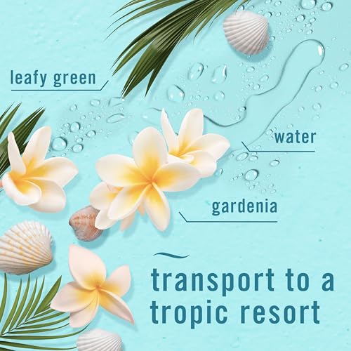 Febreze New & Improved Air Mist Bora Bora Waters, Air Freshener, Home and Kitchen Essentials, Odor Fighting Room Spray (Pack of 6) - style: Bora Bora