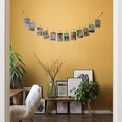 TFu Wall Hanging Photo Display, DIY Picture Photo Frame String with 12 Clips for Hanging Photos Notes and Artworks (Moon & Star) - size: Star