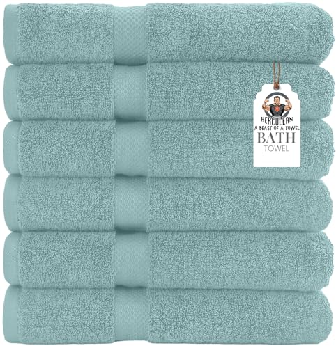 HERCULEAN Premium Bath Towels 24 x 48 Pack of 6 | Quick Dry and Highly Absorbent | 100% Cotton Terry Towels for Bathroom - Perfect for Shower - Pool and Spa - Luxury Soft Towels - Duck Egg - color: Duck Egg, size: 24" x 48" PK 6
