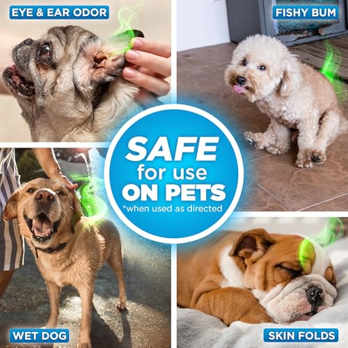 POOPH Plus Maximum Strength Pet Odor Eliminator Spray 32 oz for Dogs & Cats — Heavy Duty Urine, Poop & Pee Odor Remover for Carpet, Furniture, Litter Box & Hard Floors, Unscented - size: 32 Ounce (Pack of 1)