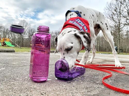 OllyDog OllyBottle | Tritan Dog Water Bottle with Detachable Bowl | BPA Free Leakproof Pet Dispenser | Hiking Travel (600ml, Plum) - color: Plum, size: 600ML