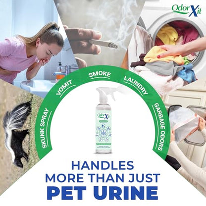 Pet Urine Odor Eliminator Spray, Ideal for Cat, Dog Poo and Urine Smell, Versatile & Natural Odor Neutralizer for Home and Outdoor Use, Ready to Use, 16oz - style: 16 Fl Oz Ready to Use Spray