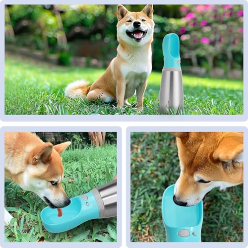 Portable Dog Water Bottle, 24 OZ, Stainless Steel Leak Proof Puppy Water Dispenser with Drinking Feeder for Pets Travel, Walking, Hiking and Outdoor Activities - size: 24 OZ - Blue, style: Button switch