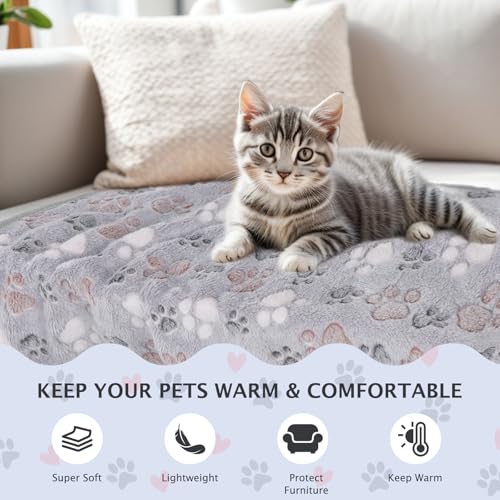 BVAGSS 6 Pack Small Dog Blanket, Super Soft Warm Pet Cover Blankets, Paw Print Puppy Fleece Flannel Blanket for Small Medium Dogs and Cats MW003 - color: Grey Paw, size: 6 Pack of 41x29.9 Inches