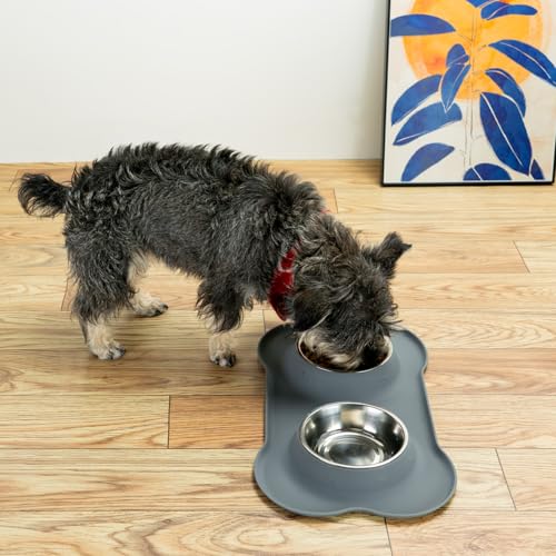 Conlun Stainless Steel Dog Bowls with Non-Slip Silicone Mat, Spill Proof Food & Water Bowls Set, Easy Clean Puppy Food Dish, Dishwasher Safe, Suitable for Dogs Cats Pet Under 20lbs, Small, Grey - color: Grey, size: Small-13 oz
