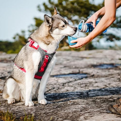 Kurgo Gourd 2 in 1 Dog Travel Water Bottle, Pet Water Bottle, Portable Water Dish for Dogs, Detachable Bowl, PVC/BPA Free, Dishwasher Safe, Holds 24 oz - color: Coastal Blue