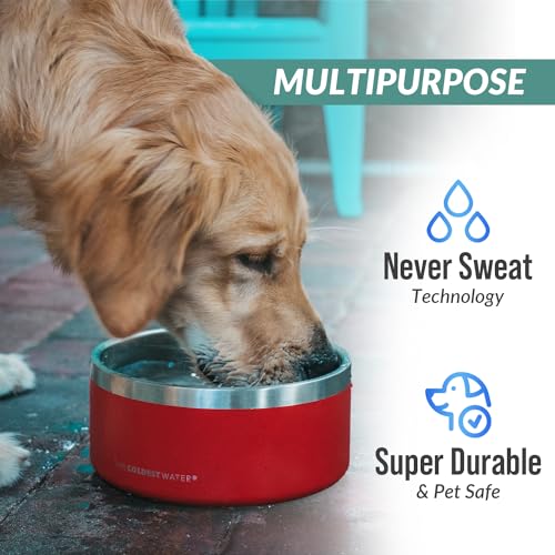 Coldest Dog Bowl - Anti Rust Metal, Non Slip, 3 Layers Insulated Stainless Steel Dog Bowls - Spill Proof & Heavy Duty - Water Bowl for Dogs, Cats, Dish Washer Safe (64 oz, Polished Stainless Steel) - color: Polished Stainless Steel, size: 64 oz