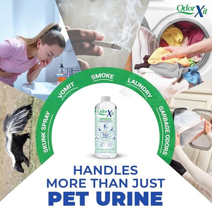 Concentrated Pet Urine Odor Eliminator, Ideal for Cat, Dog Poo and Urine Smell, Versatile & Natural Odor Neutralizer for Home and Outdoor Use, Deodorizer & Absorber, Concentrate, 16oz - style: 16 Fl Oz Concentrate