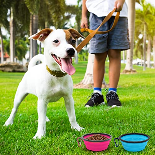2-Pack Small Dog Travel Bowl, Collapsible Bowls for Dogs, Foldable Cat Water Bowl, Portable Pet Feeding Watering Traveling Dish (Pink & Light Blue) - color: Pink & Light Blue