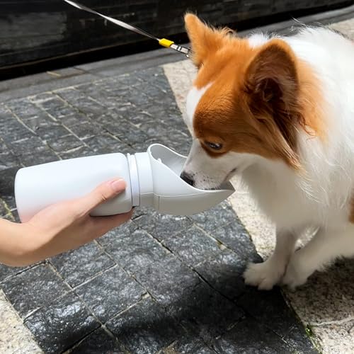 Dog Water Bottle, Collapsible Portable Water Bowl for Dog, 19oz Lightweight Food Grade Silicone Water Bottle for Dogs, Pet Cat Travel Bottle for Walking, Hiking, Outdoor Camping, Road Trips