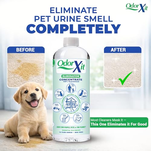 Concentrated Pet Urine Odor Eliminator, Ideal for Cat, Dog Poo and Urine Smell, Versatile & Natural Odor Neutralizer for Home and Outdoor Use, Deodorizer & Absorber, Concentrate, 16oz - style: 16 Fl Oz Concentrate