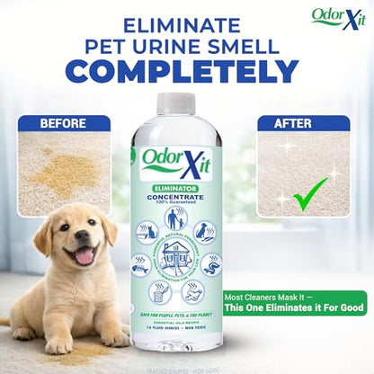 Concentrated Pet Urine Odor Eliminator, Ideal for Cat, Dog Poo and Urine Smell, Versatile & Natural Odor Neutralizer for Home and Outdoor Use, Deodorizer & Absorber, Concentrate, 16oz - style: 16 Fl Oz Concentrate