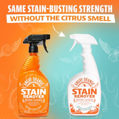 ANGRY ORANGE Cat Urine Odor Eliminator & Stain Remover, Pet Stain Enzyme Cleaner Spray for Dog & Cat Pee - Fresh Scent - 32 oz - size: 32 Fl Oz (Pack of 1)