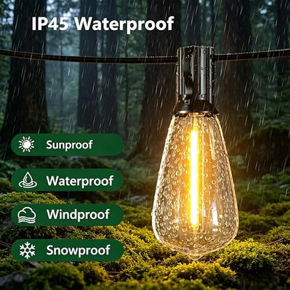 100FT Remote Outdoor String Lights for Outside, 50+2 LED Waterproof Shatterproof Edison Dimmable Timer Bulbs, 2500K Warm White Patio Lights for Garden Backyard Yard Hanging Lighting - size: 100FT