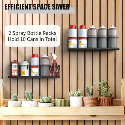 Riciakik 2 Pack Wall-Mounted Aerosol Spray Can Holder Storage Rack, Heavy-Duty Paint Bottle Organizer With 10 Holes, Black Spray Steel Rack for Garage, Shop, Home or Tool Trailer - style: 2 Pack