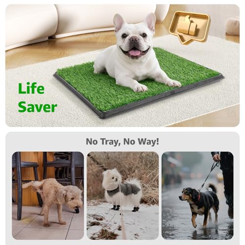 Dog Grass Pad with Tray, 45”×29” Large Dog Litter Boxes with Artificial Grass, Reusable Washable Pee Pads for Dogs, Indoor Outdoor Pet Toilet Puppy Training Potty for Balcony - size: 45"x29"（3 Layer Potty System)