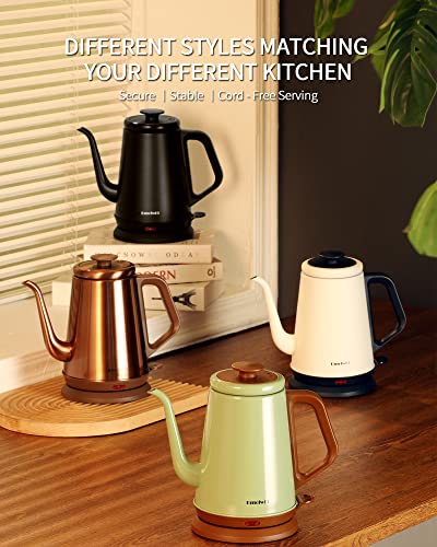 DmofwHi Gooseneck Electric Kettle(1.0L),1000W Electric Tea Kettle of 304 Stainless Steel,Auto Shut off,Water Kettle for Coffee and Tea -Matte Black - color: MATTE BLACK