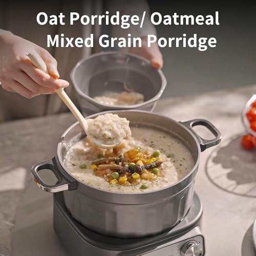 N74SNA Hot Pot Electric, Multi-Cooker 2.5 Quart Grill Steamer Set, PFOA-Free Nonstick for Steak, Soup, Fried Rice, Oatmeal, Egg, Ramen with Power Adjustment - size: Dual-Handle Pot