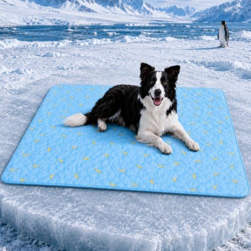 Dog Cooling Mat, Summer Cooling Mat for Dogs, Self Cooling Pad for Small Medium Large Dogs Cats, Non-Toxic Breathable Sleep Bed Summer Pet Bed Puppy Ice Blanket for Kennel Sofa Bed Floor - color: Blue, size: XL:27.6x29.4in