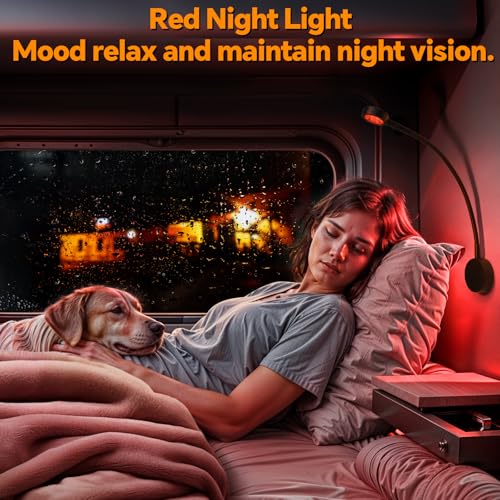 Dimmable RV Reading Light, Aluminum 12V LED Reading Light with USB-C Charger, Red Nightlight & Flexible Gooseneck & Convenient Head Switch, Designed for Camper Van Boat DC12-24V (Black)