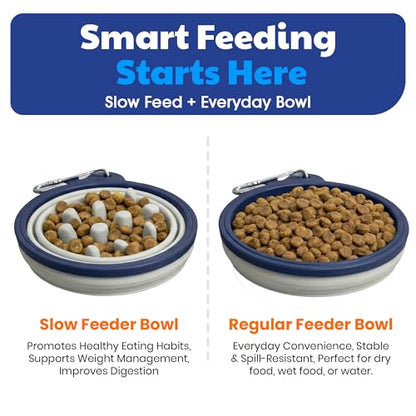 American Kennel Club 2-Pack Collapsible Travel Bowls for Dogs – Blue/Gray, Portable Food & Water Bowls - color: Blue/Gray