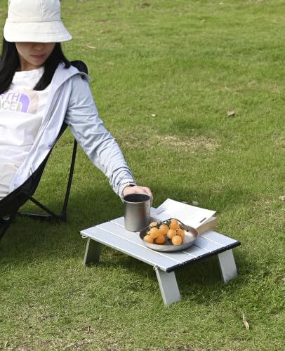iClimb Ultralight Compact Mini Beach Picnic Folding Alu. Table with Carry Bag, Two Size (Silver - S) - color: Silver, size: Small