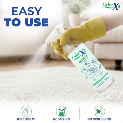 Pet Urine Odor Eliminator Spray, Ideal for Cat, Dog Poo and Urine Smell, Versatile & Natural Odor Neutralizer for Home and Outdoor Use, Ready to Use, 16oz - style: 16 Fl Oz Ready to Use Spray