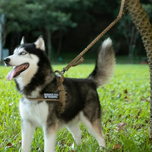 EXCELLENT ELITE SPANKER Tactical Bungee Dog Leash Military Adjustable Dog Leash Quick Release Elastic Leads Rope with 2 Control Handle(Coyote Brown) - color: Coyote Brown
