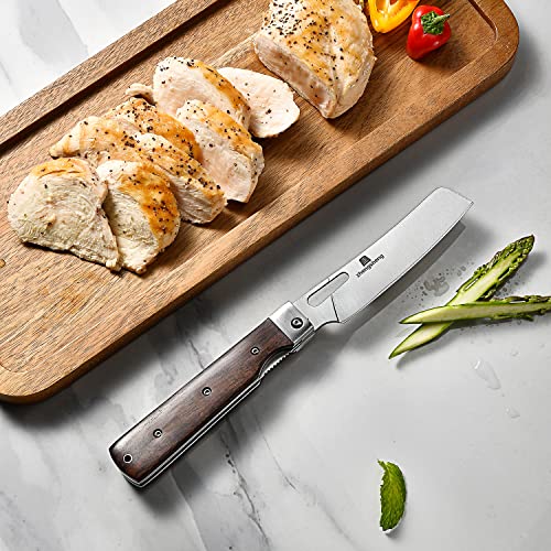 ZhengSheng Folding Chef Knife with Nylon Pouch 4.8" Sharp 440A Stainless Steel Blade Wooden Handle Pocket Foldable Japanese Style Kitchen Knife for Outdoor Camping Cooking - color: #6 Natural wooden Handle - Black Nylon Pouch