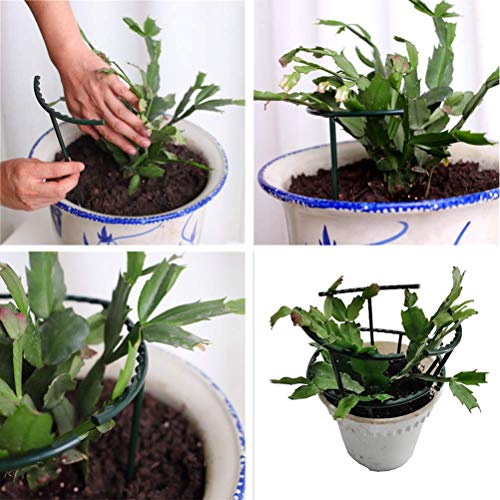 Belit 8 Pack Small Plant Support Plant Stakes, Garden Flowers Green Plant Support Ring, Planter Support Ring for Schlumbergera, Clivia, Vegetables, 5.5" Wide x 9.8" High - size: 5.5" x 9.8"