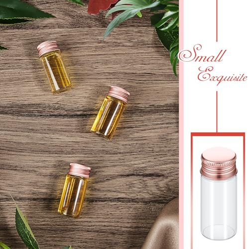 Didaey 100 Pcs Small Clear Vials Spice Mini Jars with Lids Mini Glass Bottles with Screw Aluminum Metal Caps Tiny Jars Sample Containers for Powder Cream Cosmetic Jewelry Wedding (10 ml,Rose Gold) - color: Rose Gold, size: 10 ml
