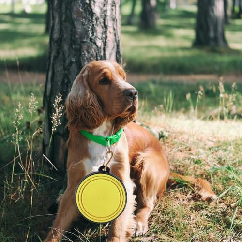 Silicone Foldable Pet Food Water Feeder, Collapsible Travel Bowl for Dog and Cat, Outdoor Portable (Yellow) - color: Yellow