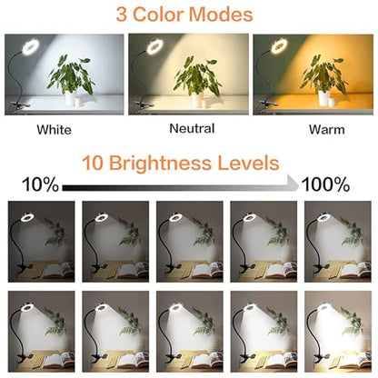 Brokimis Clip on Light LED Reading Book Study Lamp 3 Color Modes 10 Brightness Eye Protection 360° Flexible Gooseneck Student Dormitory Office Desk Lamp at Night in Bed - color: Black