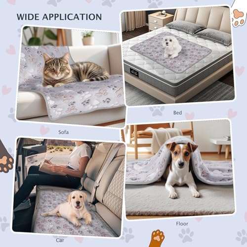 BVAGSS 6 Pack Small Dog Blanket, Super Soft Warm Pet Cover Blankets, Paw Print Puppy Fleece Flannel Blanket for Small Medium Dogs and Cats MW003 - color: Grey Paw, size: 6 Pack of 41x29.9 Inches