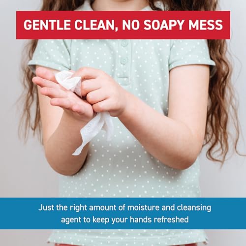 WipeEssentials Hand Sanitizer Wipes for Adults & Kids - 360 Count, 12 Packs | Alcohol-Free, Moisturizing Sanitizing Wipes with Aloe Vera & Vitamin E - Unscented & Travel Size With No Soapy Residue - size: 30 Count (Pack of 12)