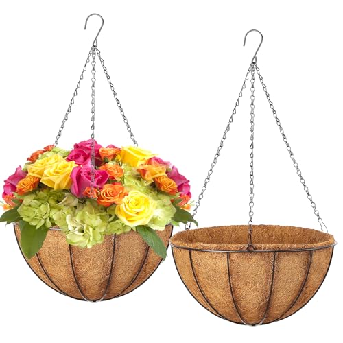 LCHUANG Hanging Baskets Planter for Plants - 2 Pack 12 Inch Metal Baskets with Coco Coir Liner, Hanging Flower Pots for Outside with Chain, Indoor Outdoor Garden Porch Decoration (12'' Pack of 2) - size: 12 Inch