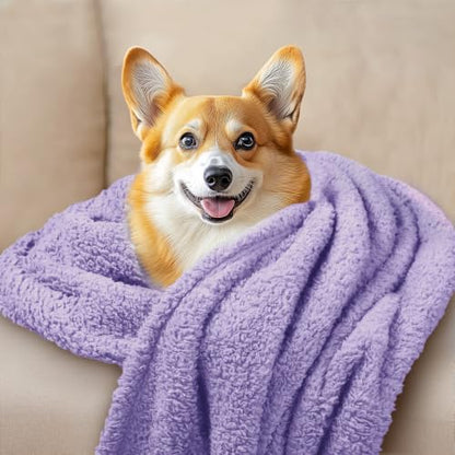 1 Pack 3 Calming Blankets Fluffy Premium Fleece Pet Blanket Soft Sherpa Throw for Dog Puppy Cat Purple Large (41" x31") - color: Purple, size: Large (Pack of 3)