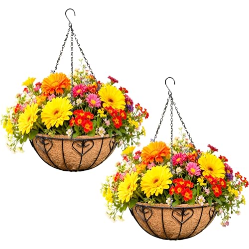 2 Pack 12 Inch Metal Outdoor Hanging Baskets Black Heavy Duty Hanging Planters with Coco Liners for Indoor Outdoor Plants Gardens Patios Terraces（Heart-Shaped） - color: Heart