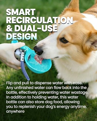Foldable Pet Water Bottle for Travel, 2 in 1 Portable Dog Water Bottle, 9.6 Oz Stainless Steel Bottle with Silicone Bowl, Leak-Proof Water Dispenser Ideal for Small Dog Walking (Blue) - color: Blue