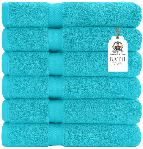HERCULEAN Premium Bath Towels 24 x 48 Pack of 6 | Quick Dry and Highly Absorbent | 100% Cotton Terry Towels for Bathroom - Perfect for Shower - Pool and Spa - Luxury Soft Towels - Aqua Blue - color: Aqua Blue, size: 24" x 48" PK 6