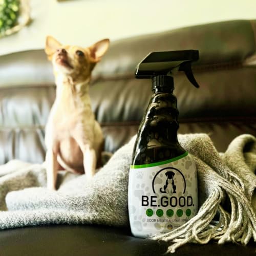 Pet Odor Eliminator Spray for Home – Fresh Citrus Agave Scent – Helps Neutralize Dog & Cat Urine Smells – Safe for Carpets, Furniture & Pet Beds – 16oz