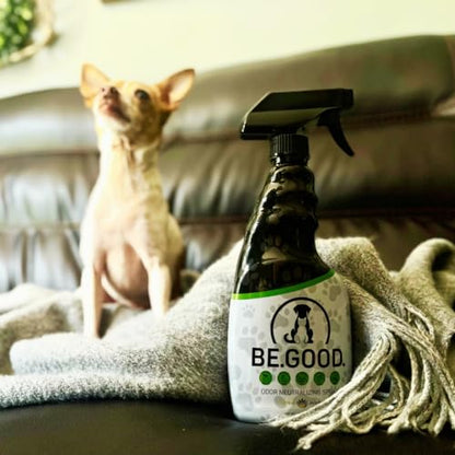 Pet Odor Eliminator Spray for Home – Fresh Citrus Agave Scent – Helps Neutralize Dog & Cat Urine Smells – Safe for Carpets, Furniture & Pet Beds – 16oz